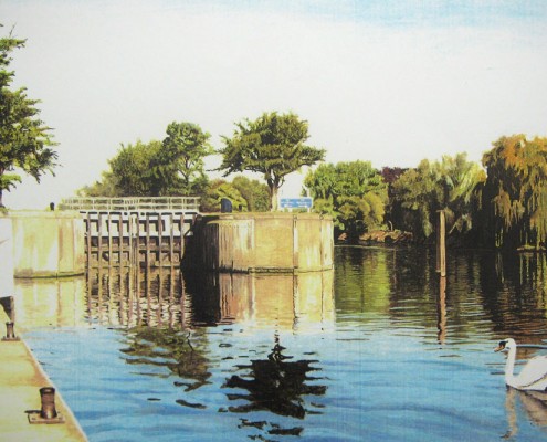 artwork commissions river and swan